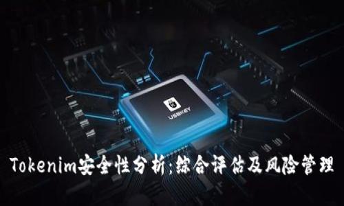 Tokenim安全性分析：综合评估及风险管理