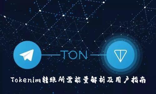 Tokenim转账所需能量解析及用户指南