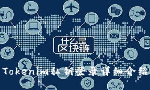Tokenim私钥登录详细介绍
