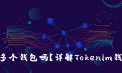 : Tokenim可以创建多个钱包吗？详解Tokenim钱包的功