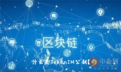 什么是TokenIM公钥？
