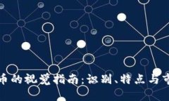 各虚拟币的视觉指南：识别、特点与市场动态