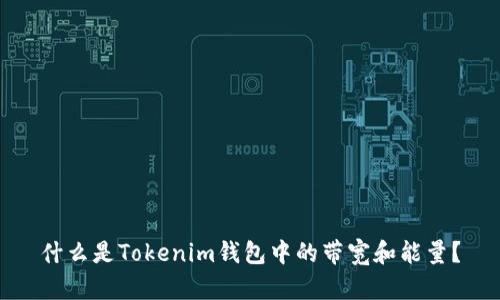 什么是Tokenim钱包中的带宽和能量？