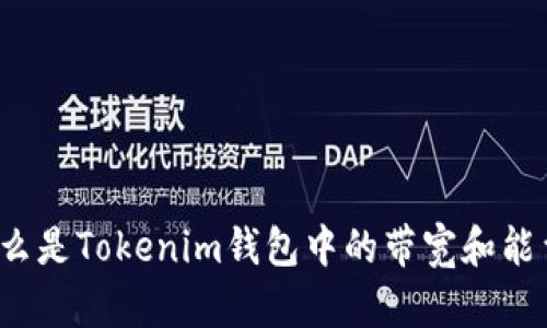 什么是Tokenim钱包中的带宽和能量？