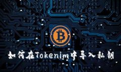 如何在Tokenim中导入私钥