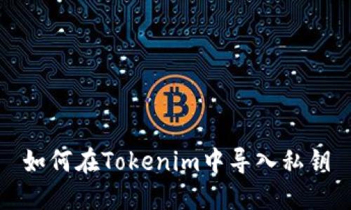 如何在Tokenim中导入私钥
