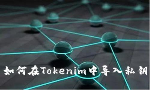 如何在Tokenim中导入私钥