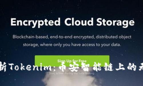 深度解析Tokenim：币安智能链上的无限可能