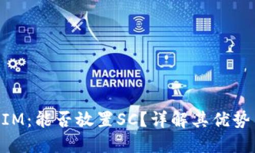 TokenIM：能否放置SC？详解其优势与应用