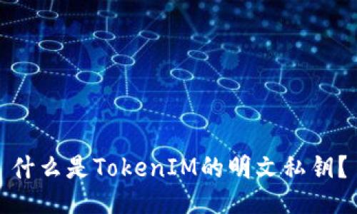 什么是TokenIM的明文私钥？
