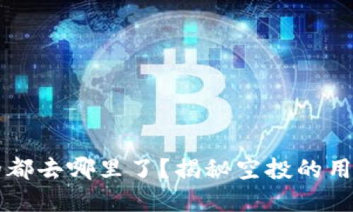虚拟币空投的都去哪里了?揭秘空投的用途与未来发展