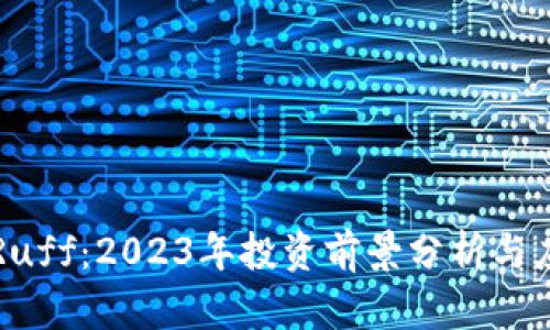 虚拟币Ruff:2023年投资前景分析与应用解读