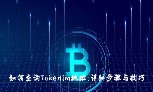 如何查询Tokenim地址：详细步骤与技巧