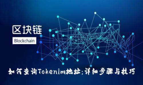 如何查询Tokenim地址：详细步骤与技巧
