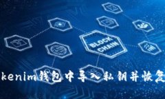 如何在Tokenim钱包中导入私钥并恢复原有资产