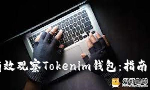 如何有效观察Tokenim钱包:指南与技巧