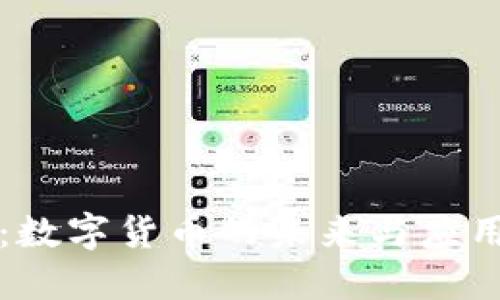 派币:数字货币的未来与应用探索