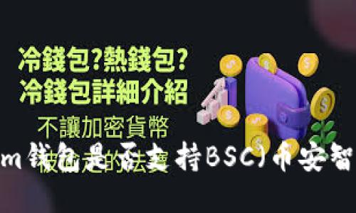 Tokenim钱包是否支持BSC（币安智能链）?