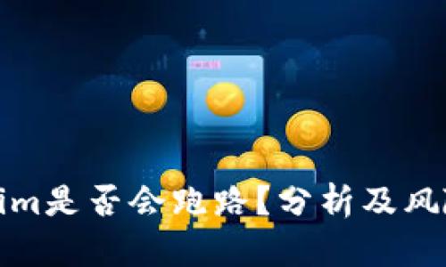 Tokenim是否会跑路?分析及风险评估