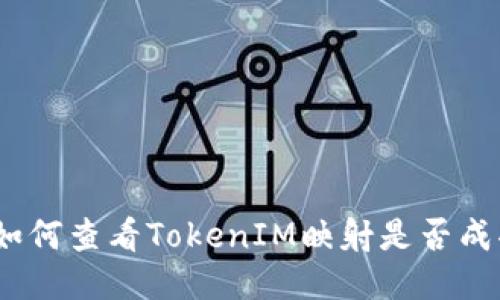 : 如何查看TokenIM映射是否成功？