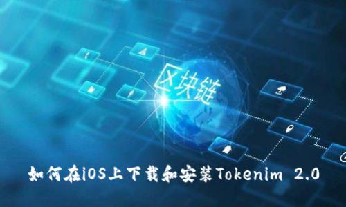 如何在iOS上下载和安装Tokenim 2.0