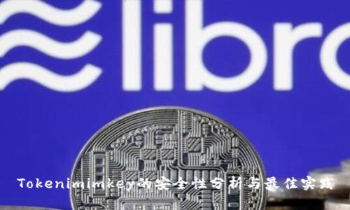 Tokenimimkey的安全性分析与最佳实践