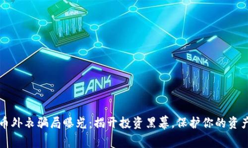 虚拟币外衣骗局曝光:揭开投资黑幕,保护你的资产安全