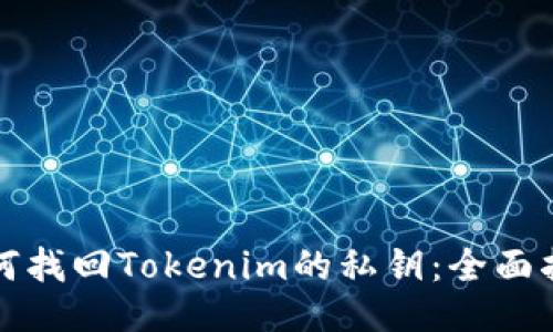 如何找回Tokenim的私钥：全面指南