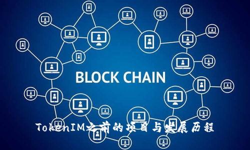 TokenIM之前的项目与发展历程