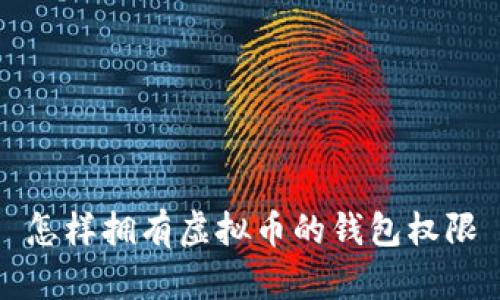 怎样拥有虚拟币的钱包权限