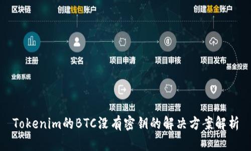 Tokenim的BTC没有密钥的解决方案解析