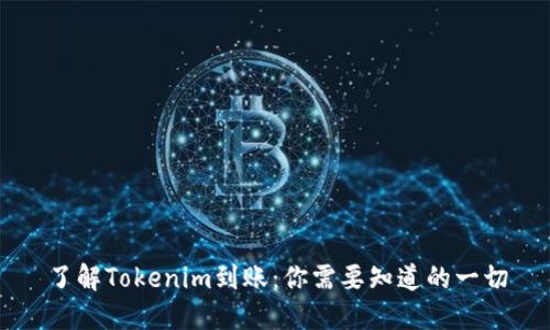 了解Tokenim到账：你需要知道的一切