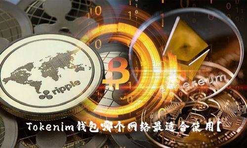 Tokenim钱包哪个网络最适合使用？