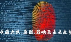 虚拟币圈大跌：原因、影响及未来走势分析