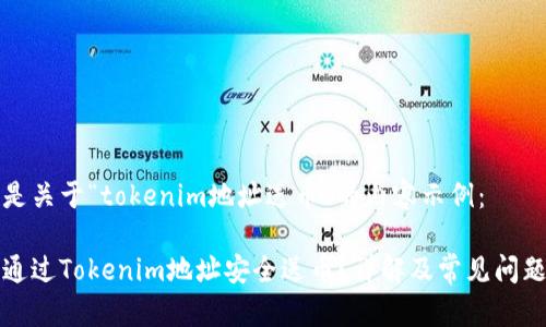 以下是关于“tokenim地址送币”的内容示例：

如何通过Tokenim地址安全送币？详解及常见问题解答