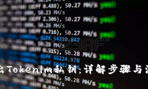 如何导出Tokenim私钥：详解步骤与注意事项