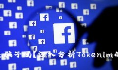 Tokenim是骗子吗？深入分析Tokenim的真实情况