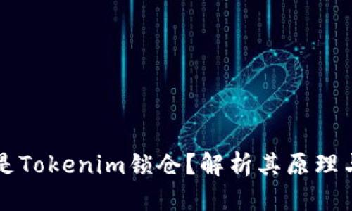 什么是Tokenim锁仓？解析其原理与应用