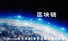 Tokenim为何消失？分析原因与解决办法