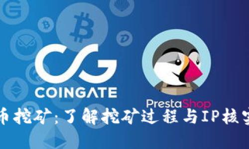 IP核实虚拟币挖矿：了解挖矿过程与IP核实技术的关系
