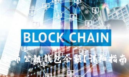 如何查询虚拟币公链钱包余额？详细指南与注意事项