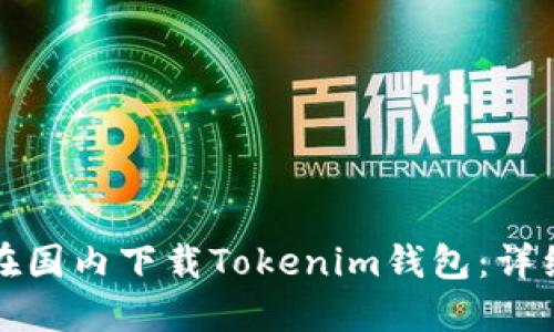 如何在国内下载Tokenim钱包：详细指南