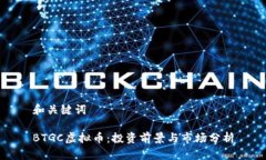 和关键词BTGC虚拟币：投资前景与市场分析