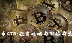 虚拟币CTB：投资攻略与市场前景分析