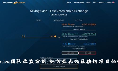 Tokenim团队收益分析：如何最大化区块链项目的回报？