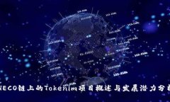 HECO链上的Tokenim项目概述与发展潜力分析