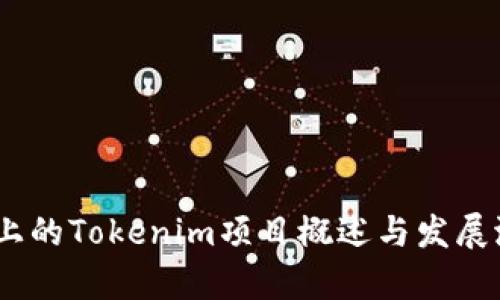 HECO链上的Tokenim项目概述与发展潜力分析