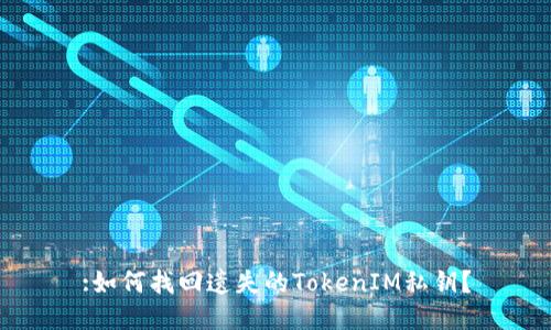 :如何找回遗失的TokenIM私钥？