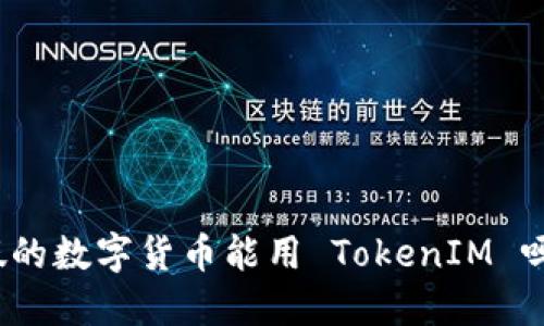 假的数字货币能用 TokenIM 吗？
