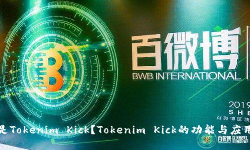 什么是Tokenim Kick？Tokenim Kick的功能与应用详解